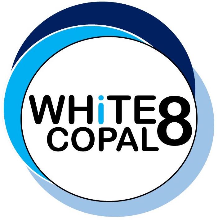 WHiTE8_LogoFinal.jpg